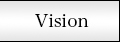 Vision